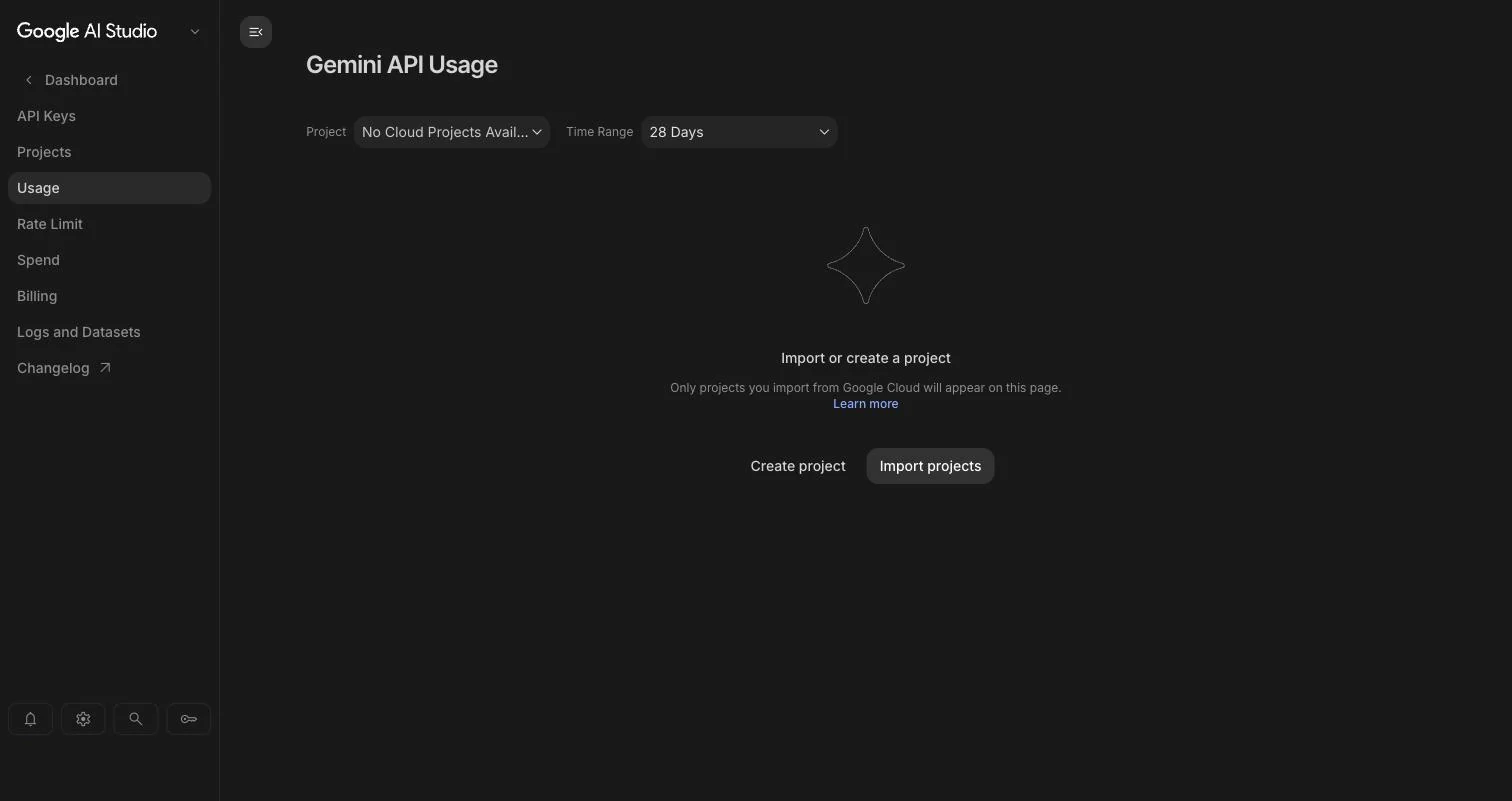 Gemini API Usage-siden med teksten Import or create a project og ingen data.